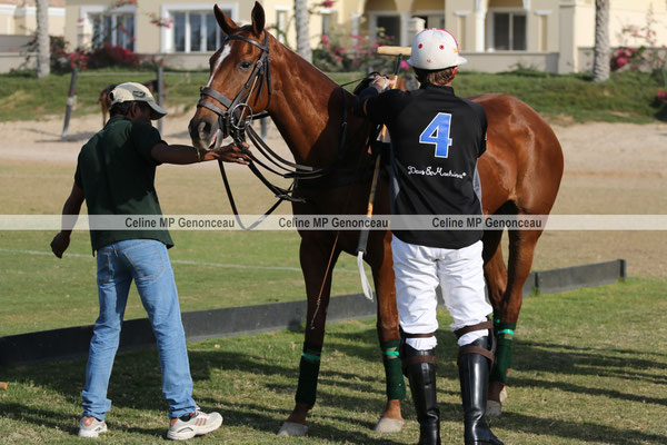 Polo Sport Dubai Photo261