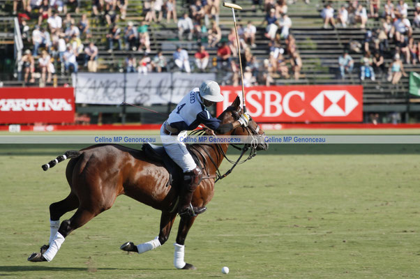 Polo Sport Argentina Photo142