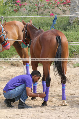 Polo Sport Dubai Photo116