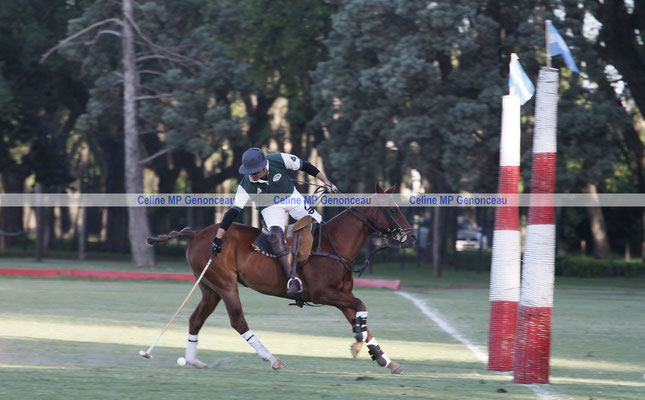 Polo Sport Argentina Photo572