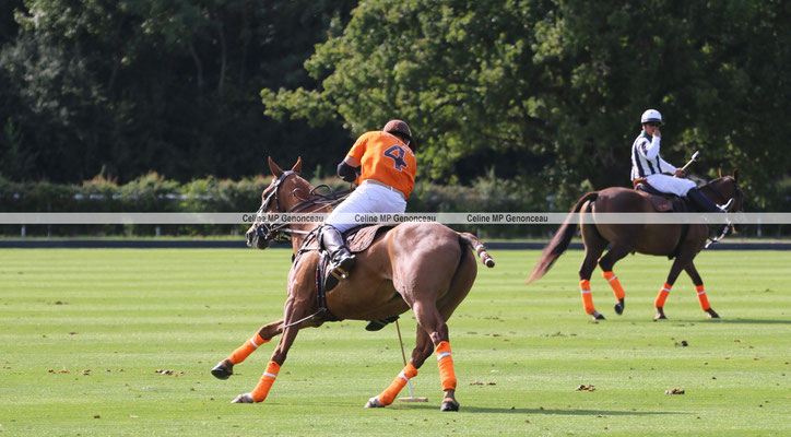 Polo Sport England Photo521
