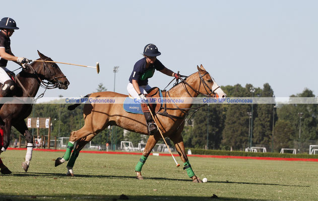 Polo Sport Argentina Photo537