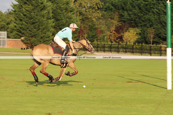Polo Sport England Photo564