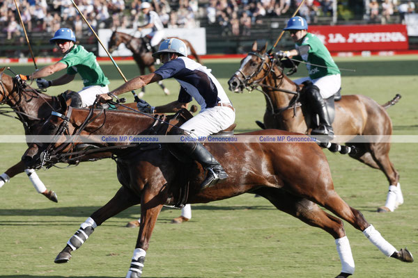 Polo Sport Argentina Photo151