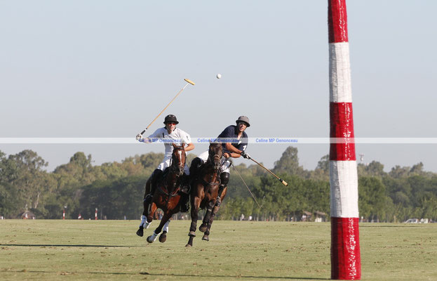 Polo Sport Argentina Photo281