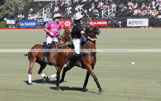 Polo Sport Argentina Photo227