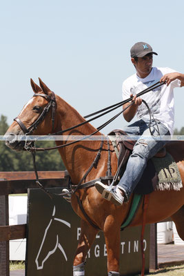 Polo Sport Argentina Photo611