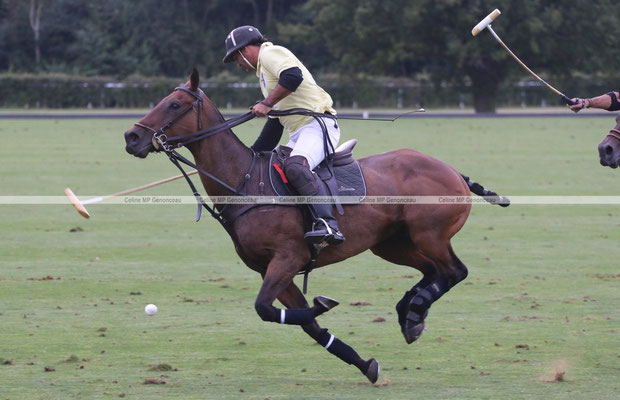 Polo Sport England Photo602