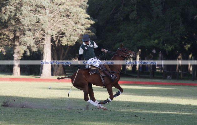 Polo Sport Argentina Photo571