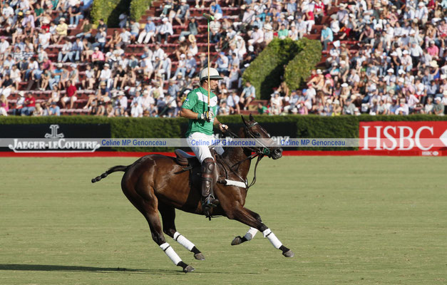 Polo Sport Argentina Photo147
