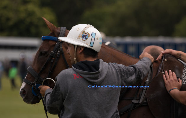 Polo Sport England Photo61