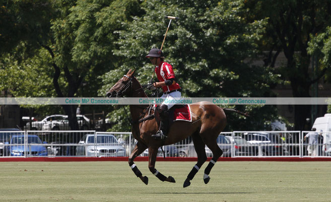 Polo Sport Argentina Photo188