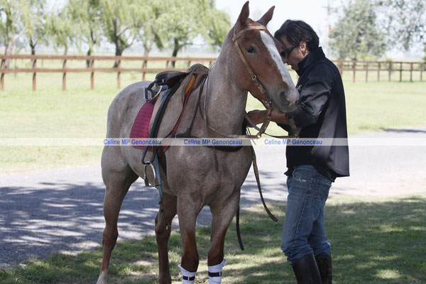 Polo Sport Argentina Photo355