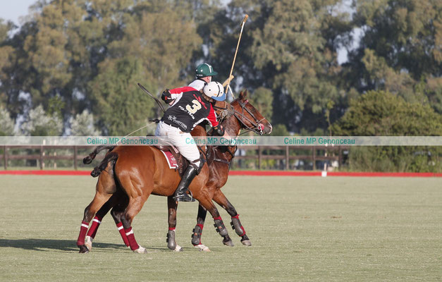 Polo Sport Argentina Photo337