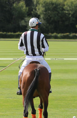 Polo Sport England Photo506