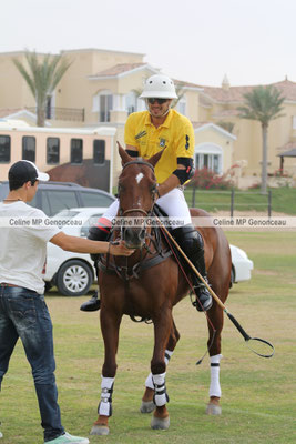 Polo Sport Dubai Photo243