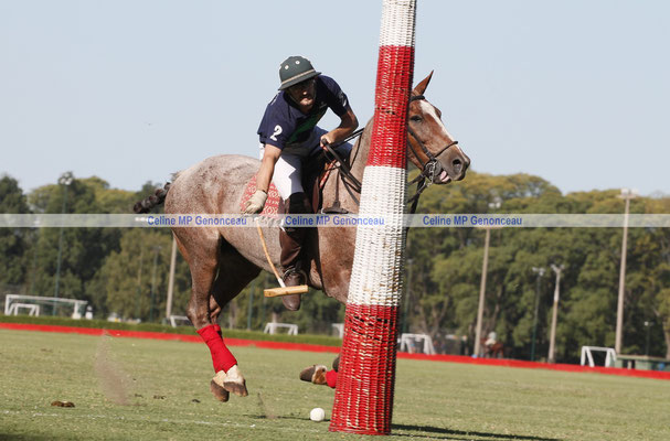Polo Sport Argentina Photo539