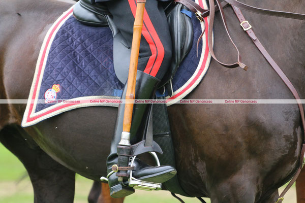 Polo Sport England Photo320