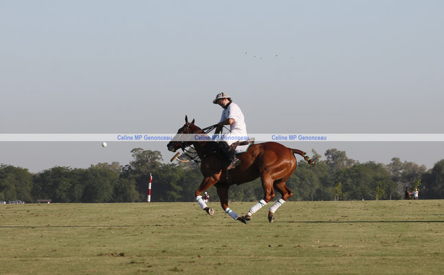 Polo Sport Argentina Photo287