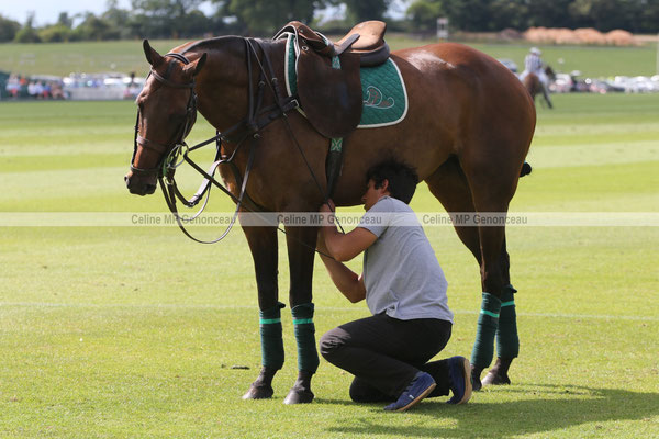 Polo Sport England Photo109
