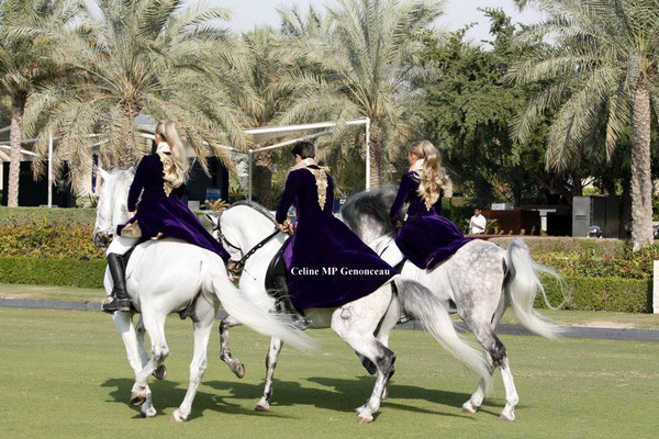 Polo Sport Dubai Photo79