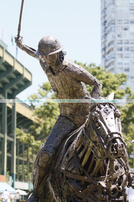 Polo Sport Argentina Photo172