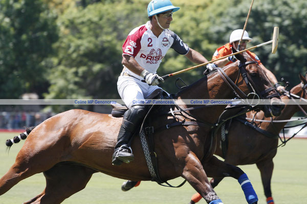 Polo Sport Argentina Photo106