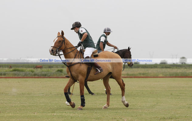 Polo Sport Argentina Photo416