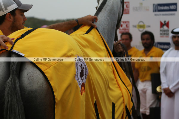 Polo Sport Dubai Photo367