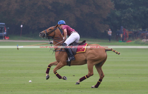 Polo Sport England Photo262