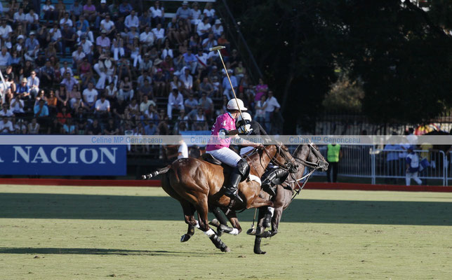 Polo Sport Argentina Photo244