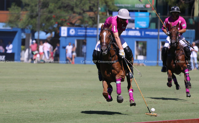 Polo Sport Argentina Photo7
