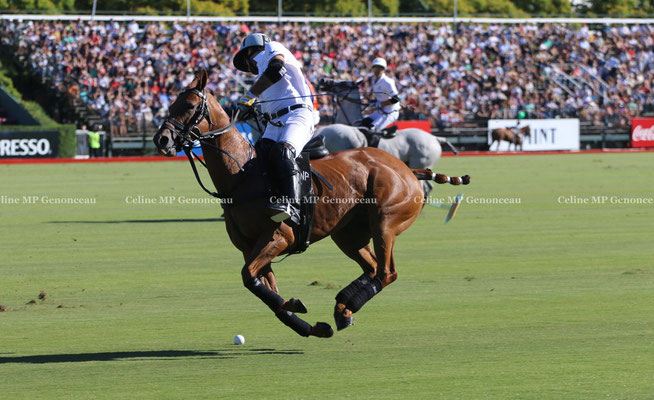 Polo Sport Argentina Photo24