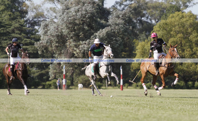 Polo Sport Argentina Photo505