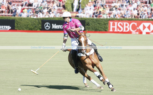 Polo Sport Argentina Photo214