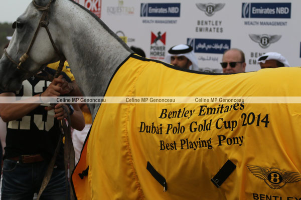 Polo Sport Dubai Photo368