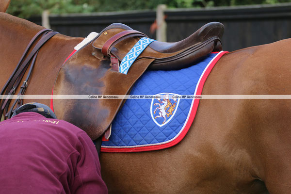 Polo Sport England Photo552