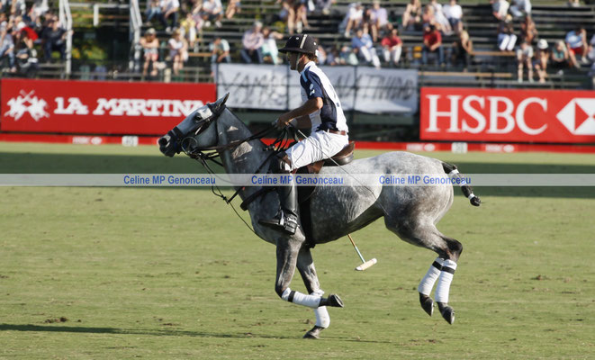 Polo Sport Argentina Photo152