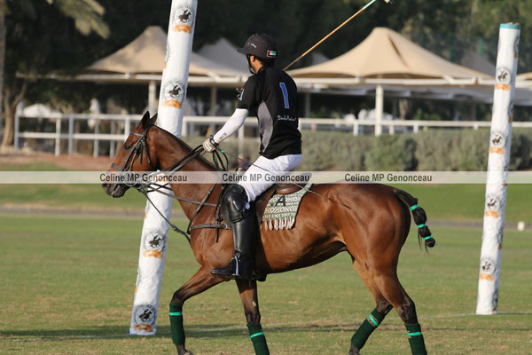 Polo Sport Dubai Photo234