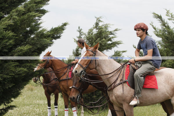 Polo Sport Argentina Photo415