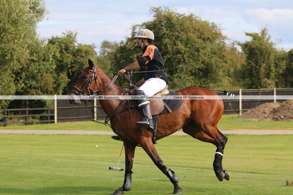 Polo Sport England Photo528