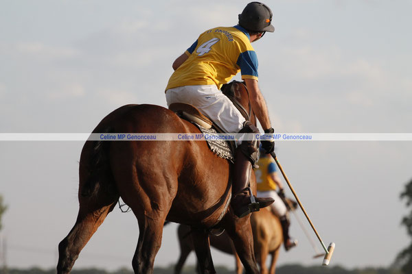 Polo Sport Argentina Photo394