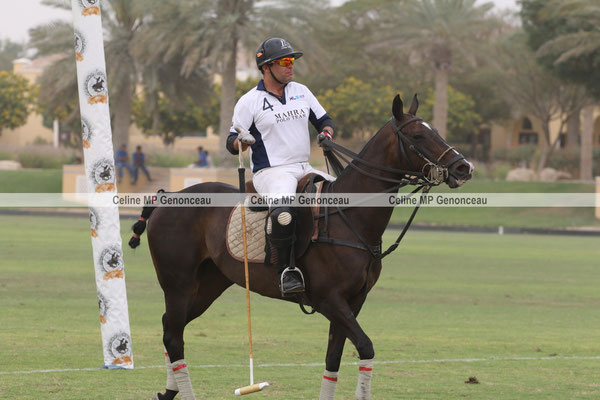 Polo Sport Dubai Photo288