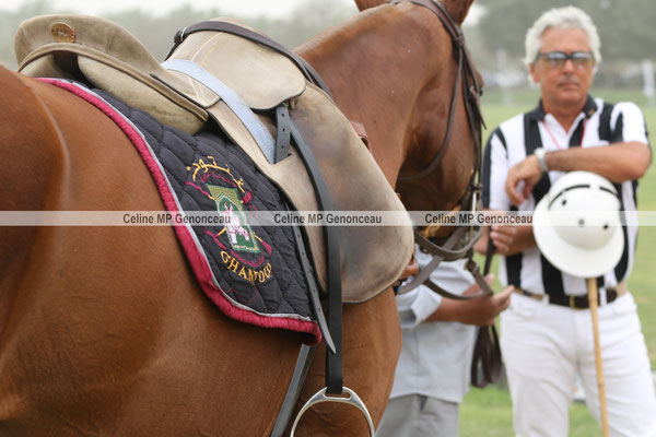 Polo Sport Dubai Photo311