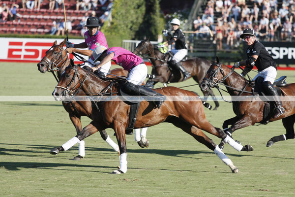 Polo Sport Argentina Photo246
