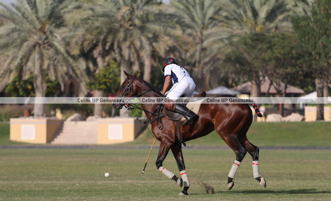 Polo Sport Dubai Photo216