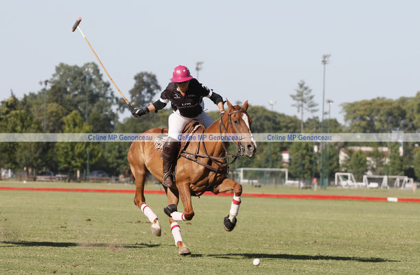 Polo Sport Argentina Photo541