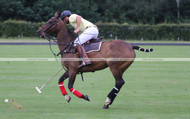 Polo Sport England Photo591