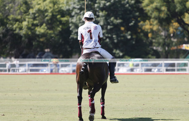 Polo Sport Argentina Photo197