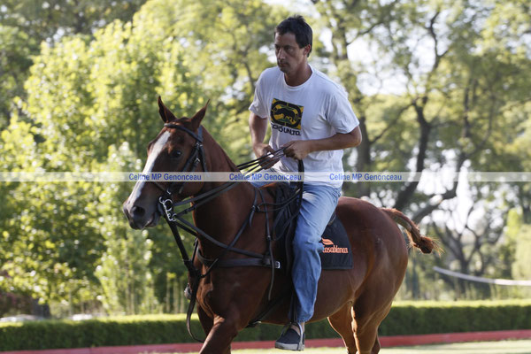 Polo Sport Argentina Photo536
